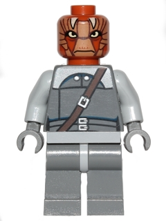 sw496